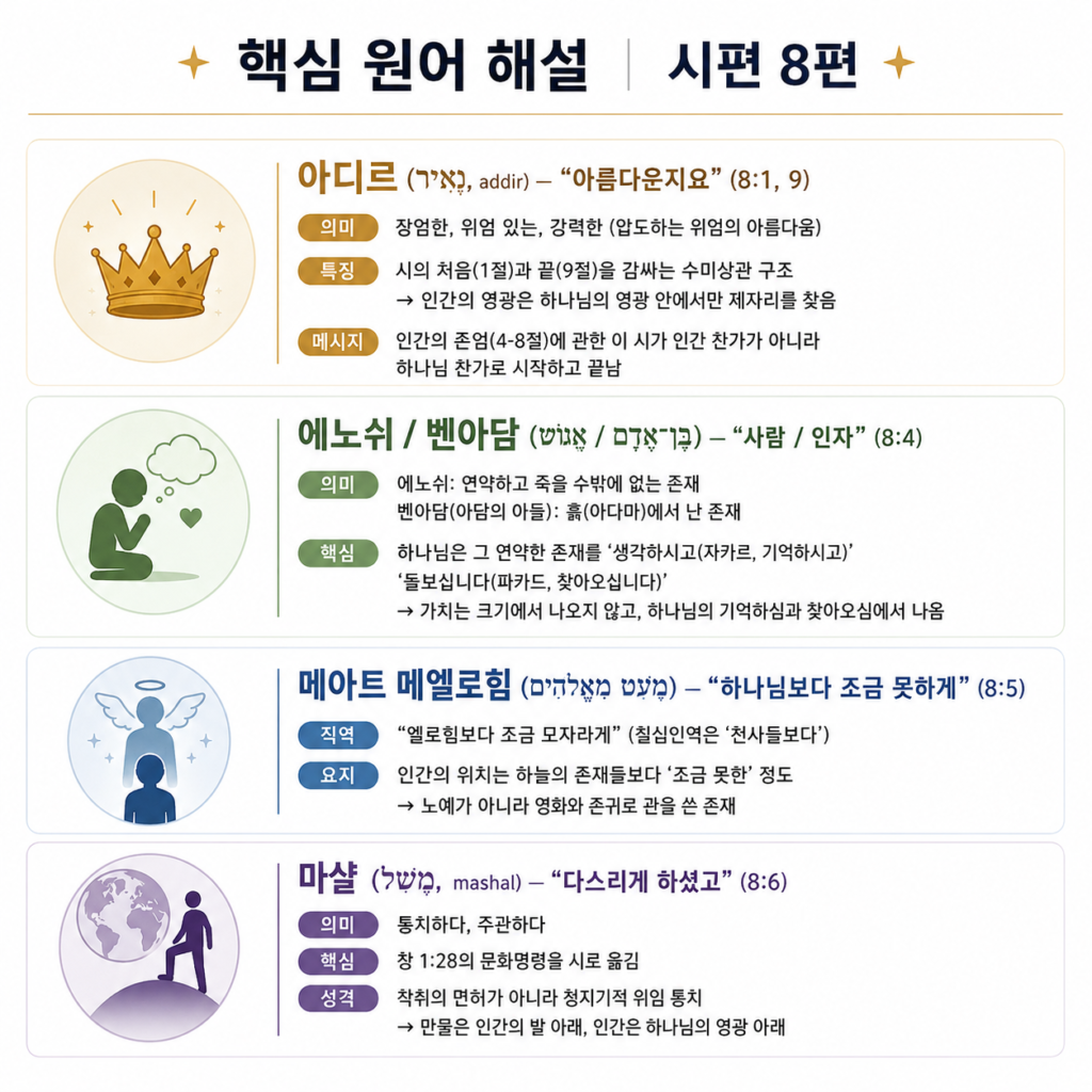 시편 8편